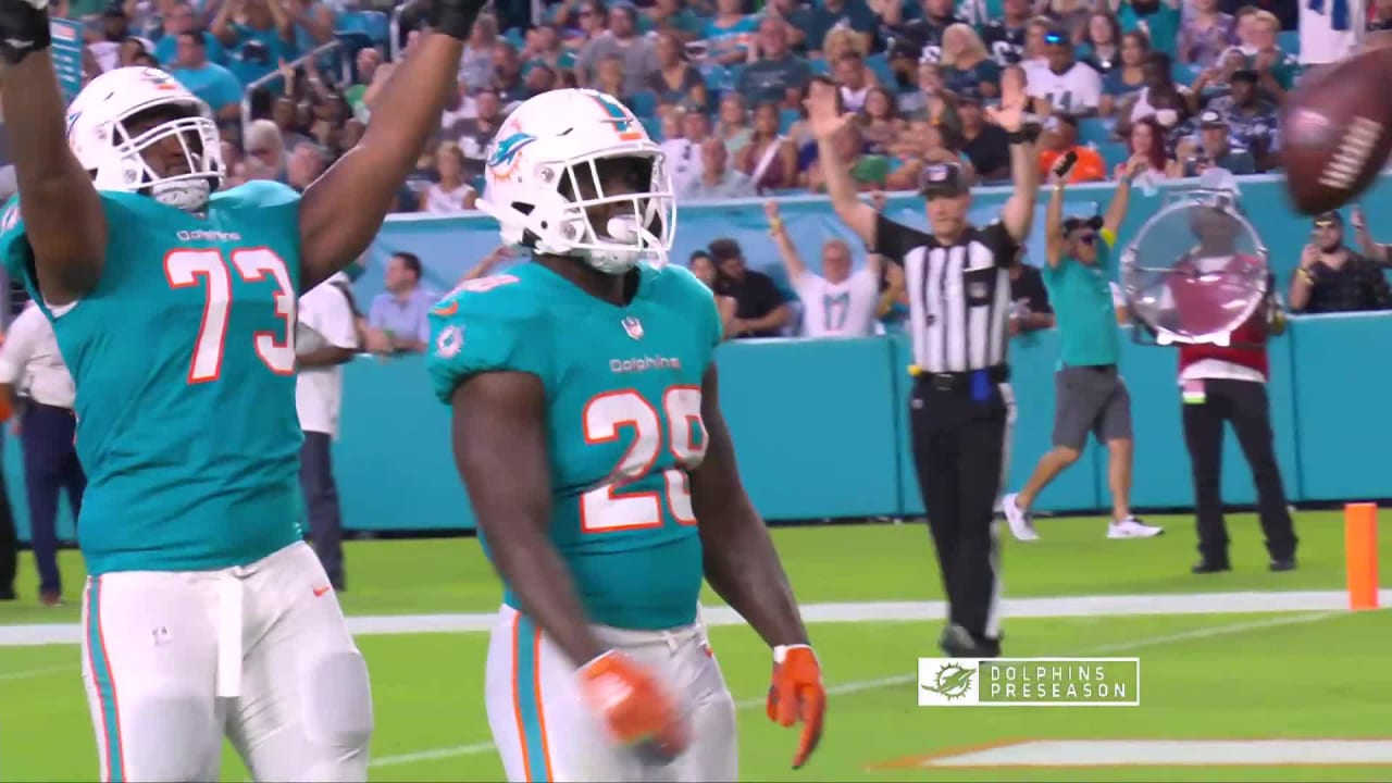 MIAMI DOLPHINS: Sony Michel ᴴᴰ 