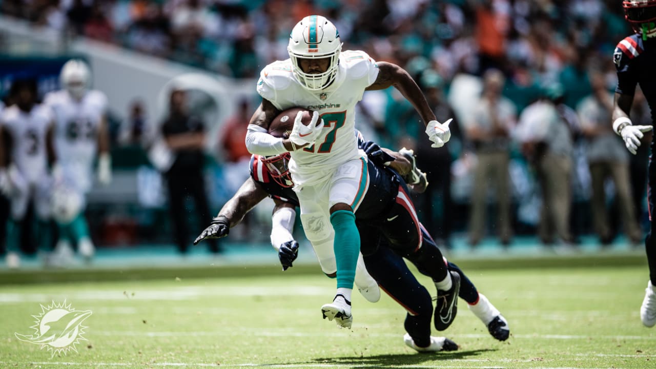 new england vs dolphins predictions