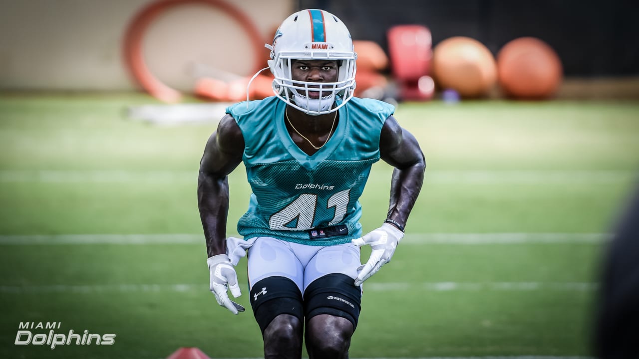 miami dolphins number 41