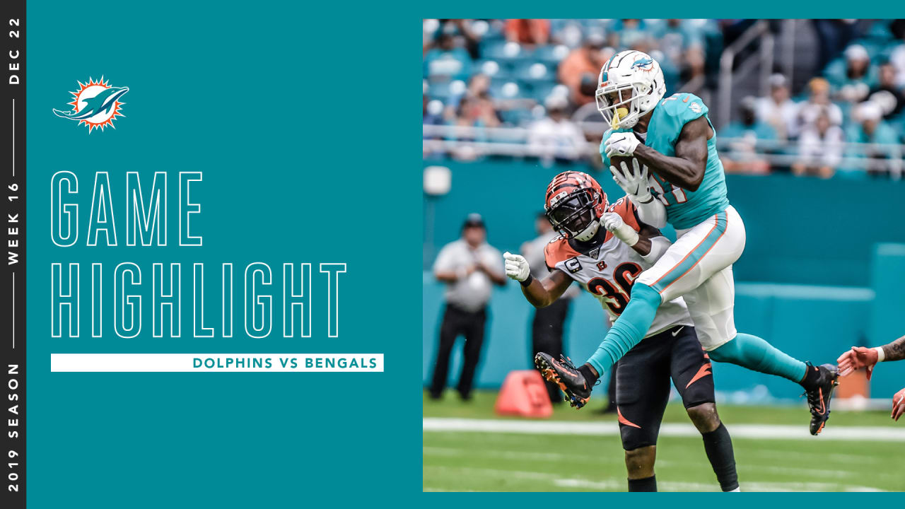 Miami Dolphins News 12/3/19: DeVante Parker's Big Day - The Phinsider