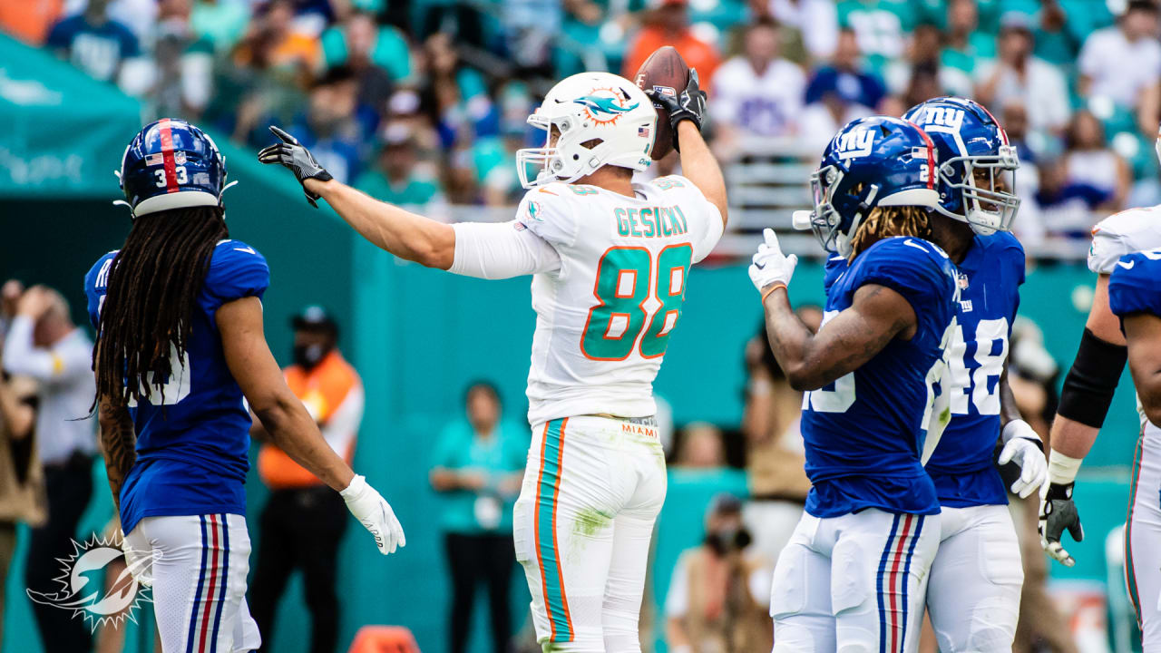 Mike Gesicki of the Miami Dolphins celebrates a catch against the News  Photo - Getty Images