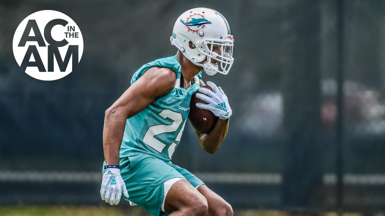 Three Dolphins players to watch for the remainder of the season (audio  story included) - Caplin News