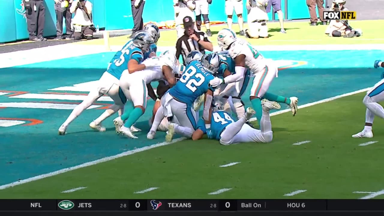 Panthers vs. Dolphins Week 12 Highlights