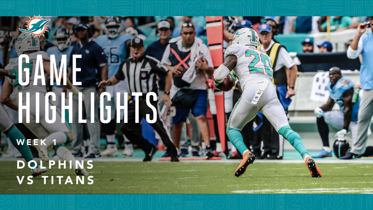 Reshad Jones 2018 Season Highlights 