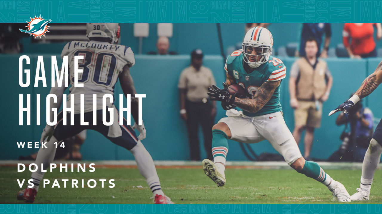 Watch: Dolphins' Kenny Stills catches touchdown, runs over security guard 