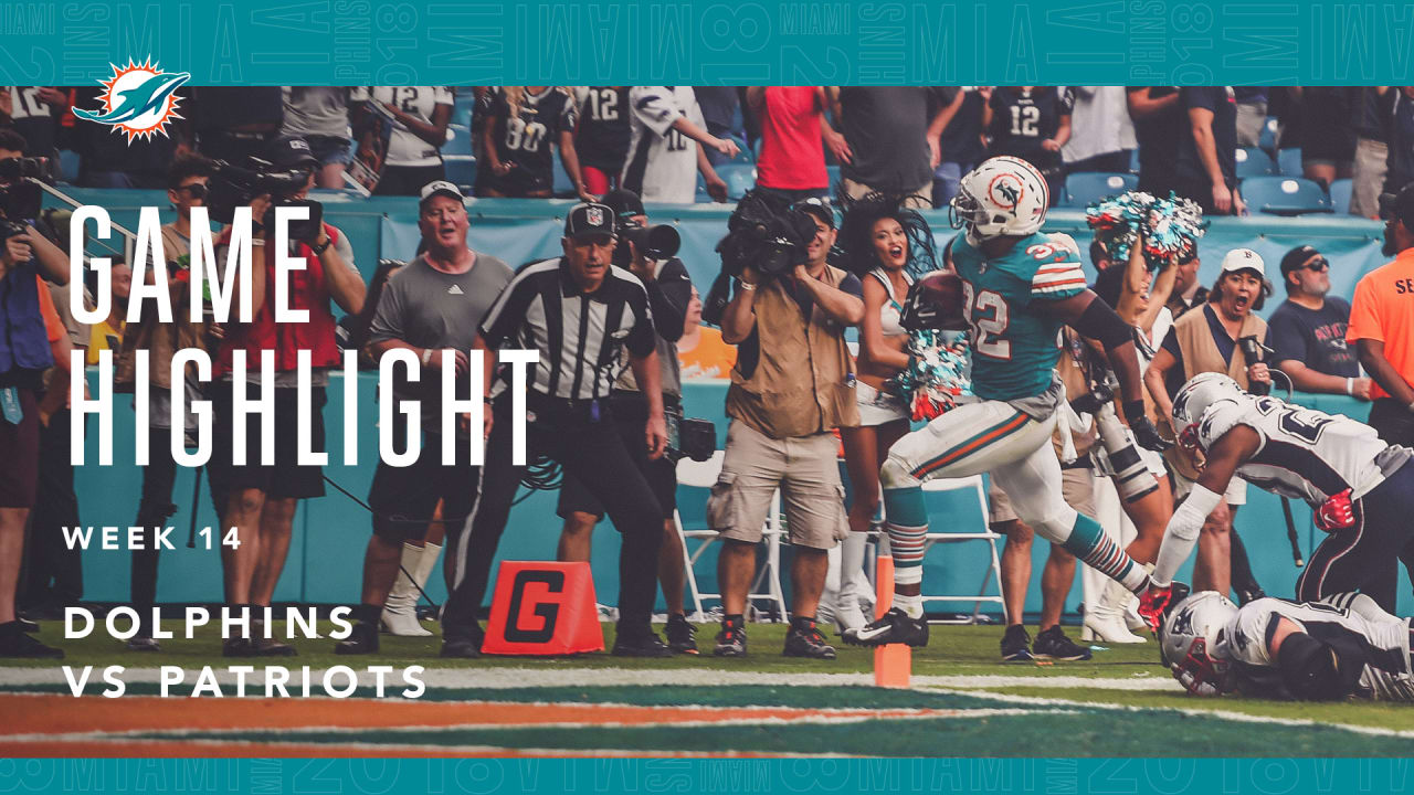 Dolphins vs. Patriots  NFL Week 12 Game Highlights 