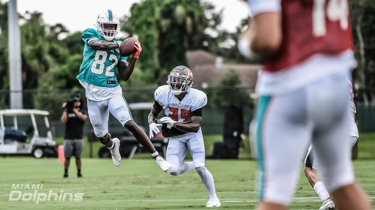 What is Preston Williams' ideal role with the Dolphins in 2021?