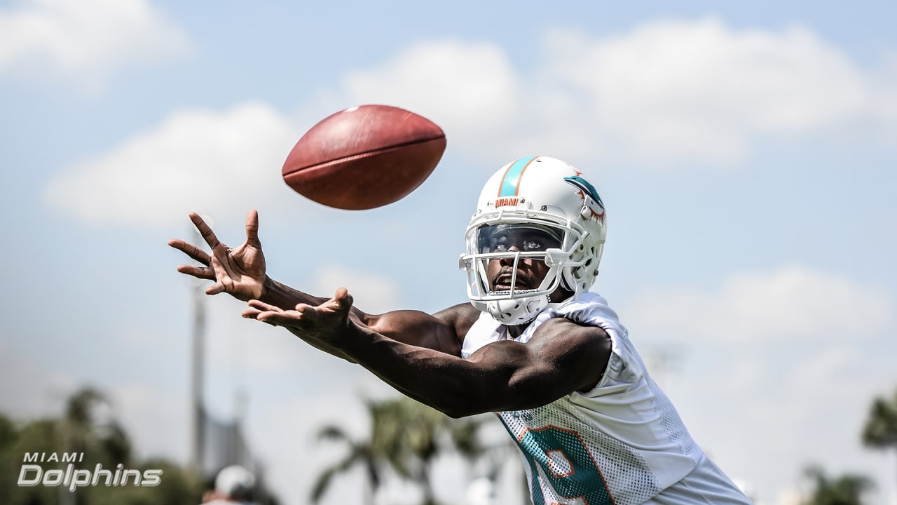 Bears reportedly sign former Dolphins receiver Isaiah Ford