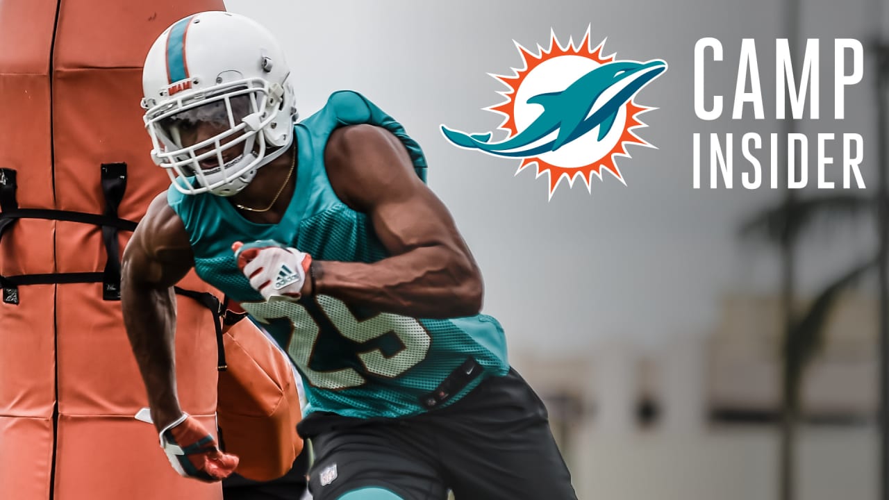 Injuries not helping: Dolphins' Brent Grimes hurts knee against