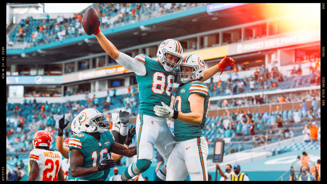 200+] Miami Dolphins Wallpapers