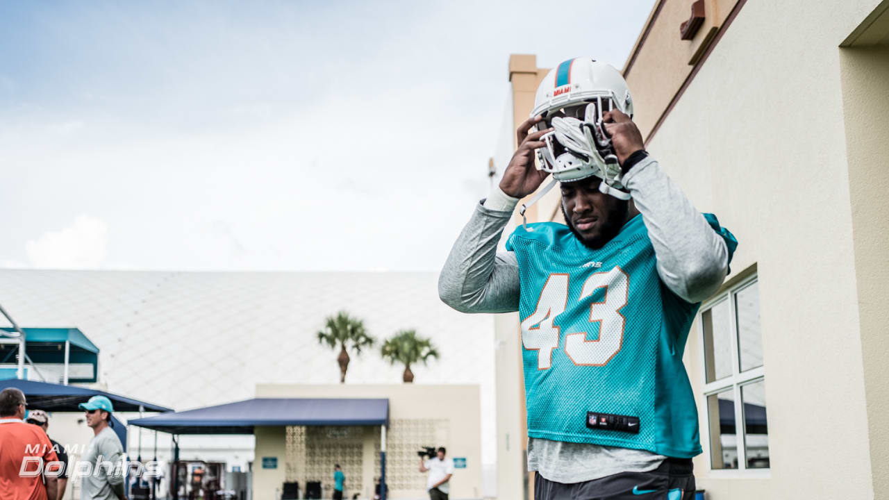 Miami Dolphins defensive tackle Anthony Moten (43) attempts to