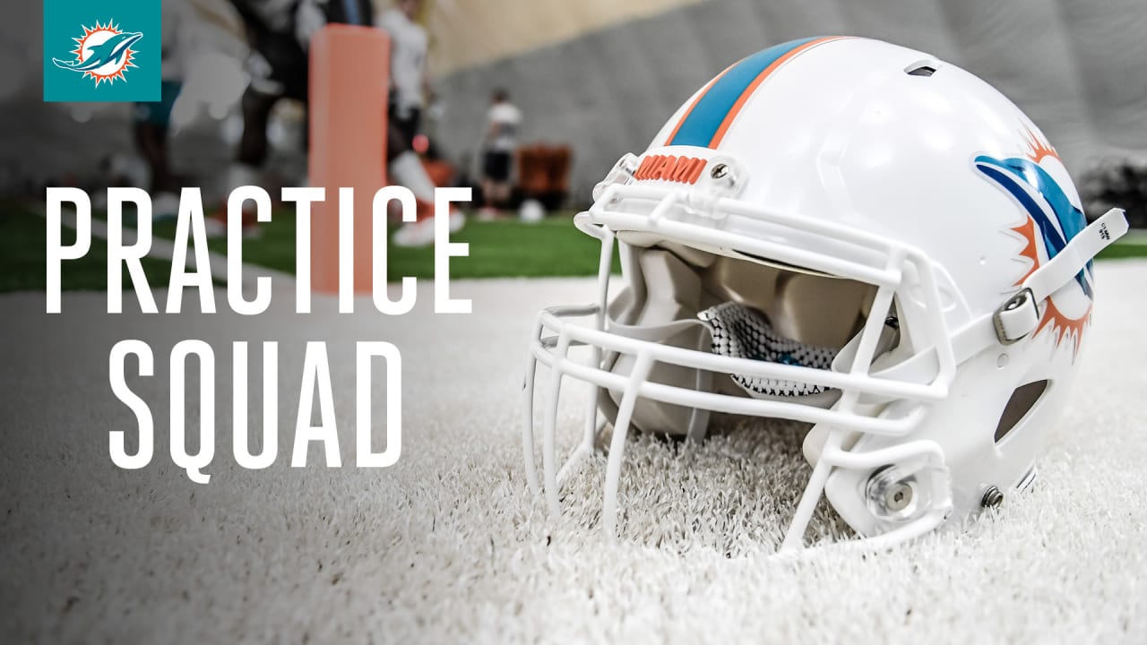 Miami Dolphins Practice Squad - 2020 Season