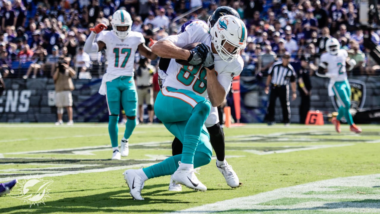 Miami Dolphins tight end Mike Gesicki (88) urges the fans to get