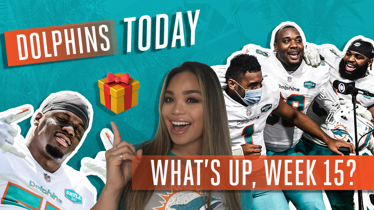 Dolphins Today Episode 39: WHAT'S UP, WEEK 15?