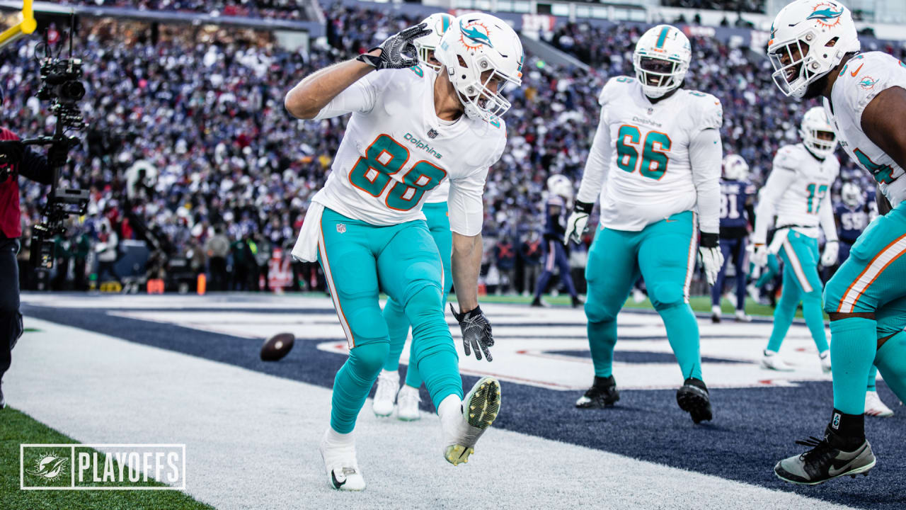 Miami Gardens, Florida, USA. 22nd Dec, 2019. Miami Dolphins tight end Mike  Gesicki (88) celebrates his touchdown in the third quarter against the Cincinnati  Bengals during an NFL football game at the