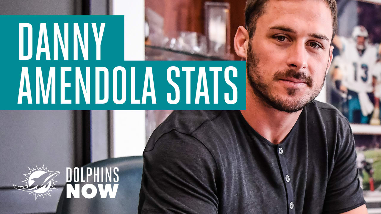 Danny amendola deals stats