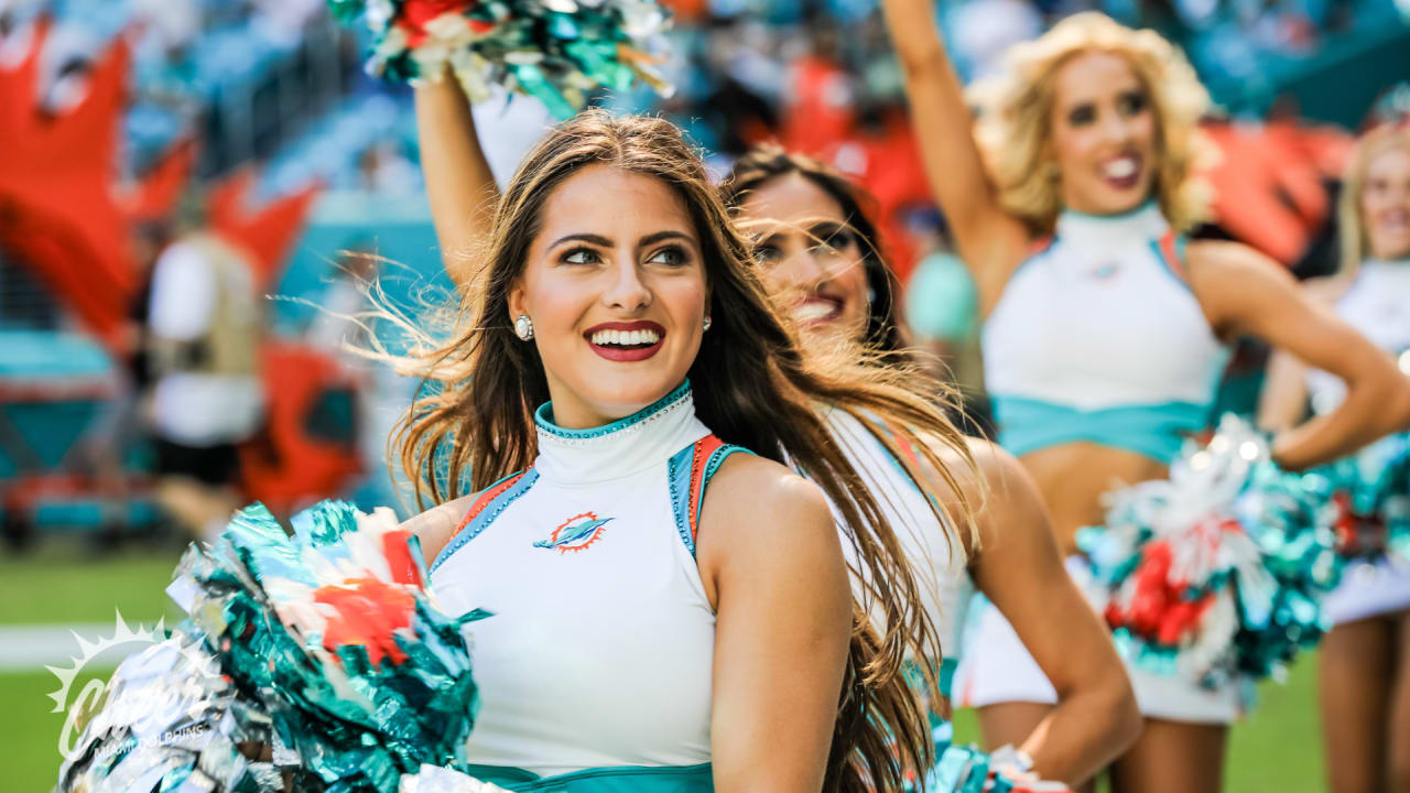 PHOTOS: Dolphins Cheer | Texans Vs. Dolphins - Week 9