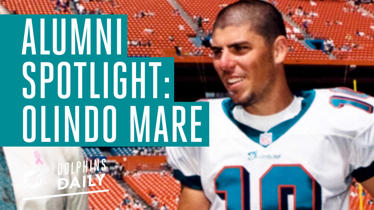 Dolphins Daily: Happy 305 Day!