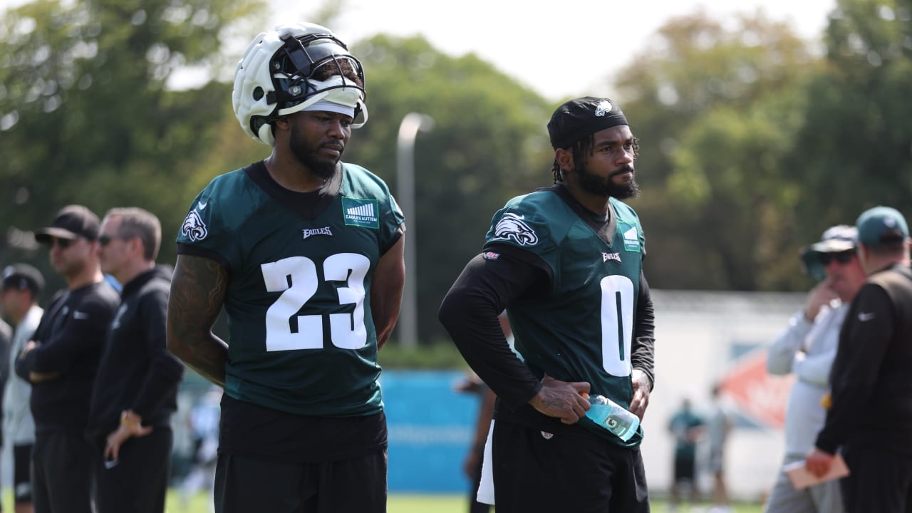 D'Andre Swift and Rashaad Penny Join Philadelphia Eagles, Adding  Versatility to Strong Offense - BVM Sports