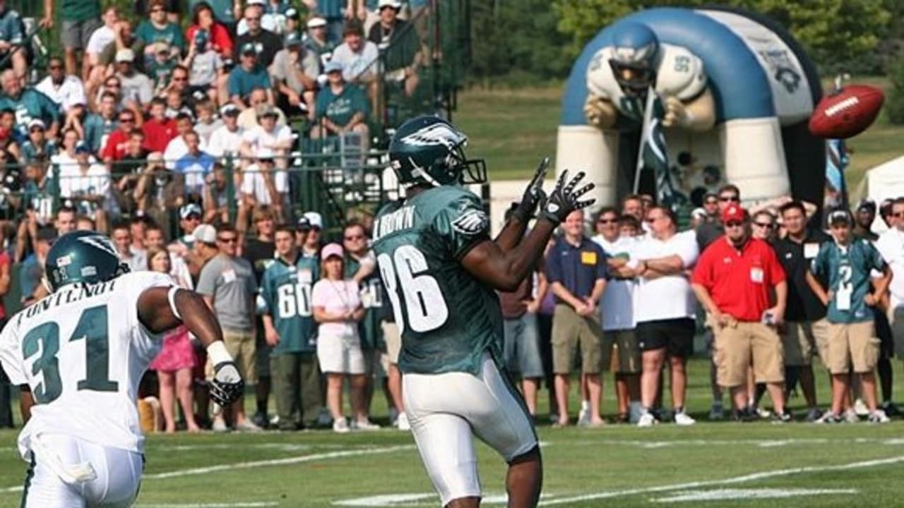 The Eagle wide receiver Donte Stallworth is all smiles as he comes