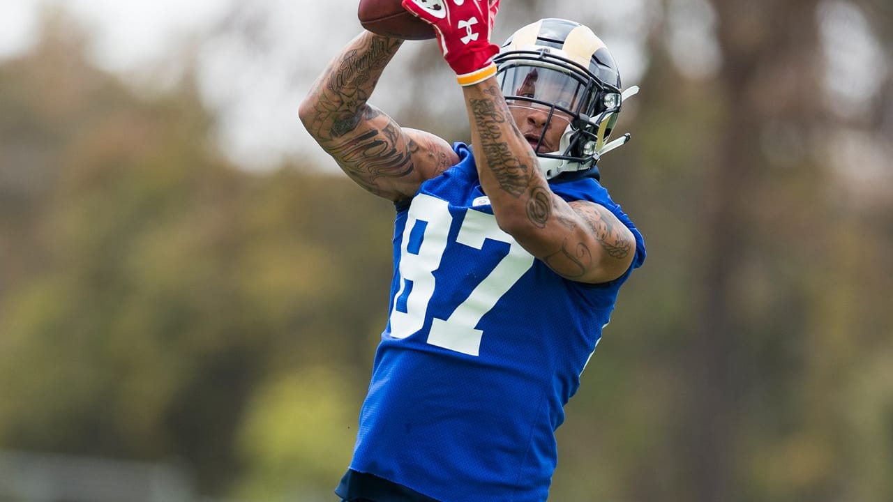 Eagles Sign WR Deon Long