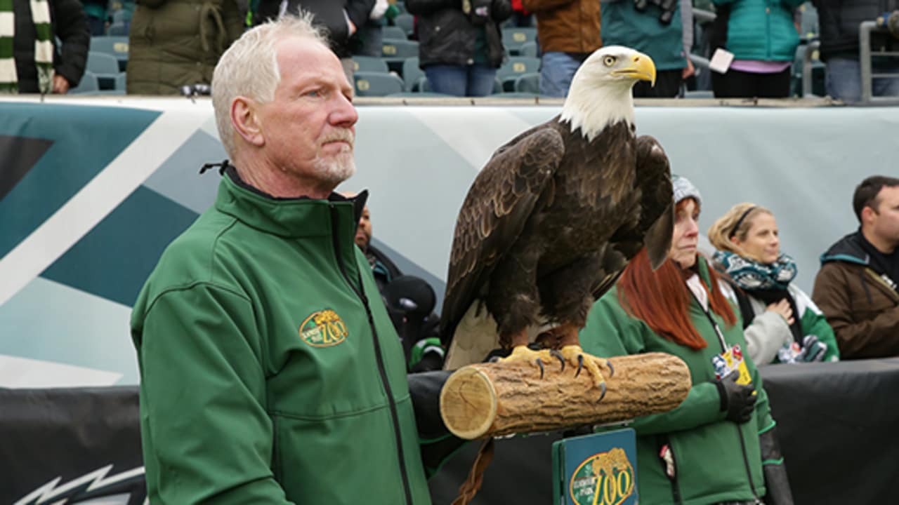 Ambassadors for the Philadelphia Eagles - Elmwood Park Zoo