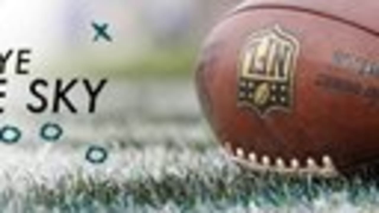 Eagle Eye In The Sky Just The Basics