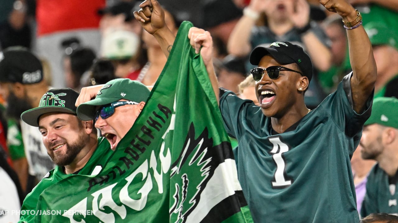 Football fan in stands for last Eagles' NFL championship win