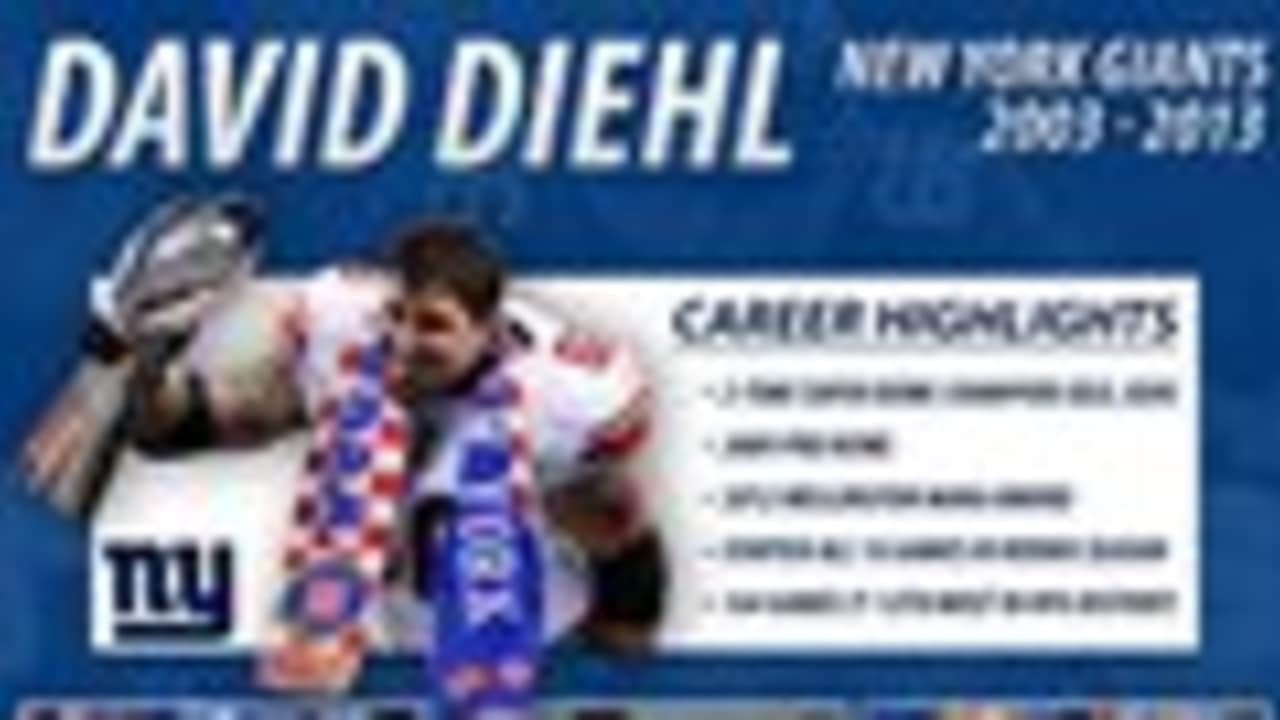 David Diehl Career Infographic
