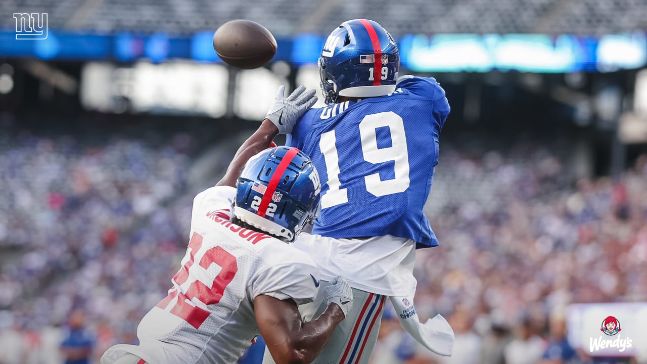 New York Giants Fans: Roaring with Big Blue, a Mighty Squad - Ticketmaster  Blog