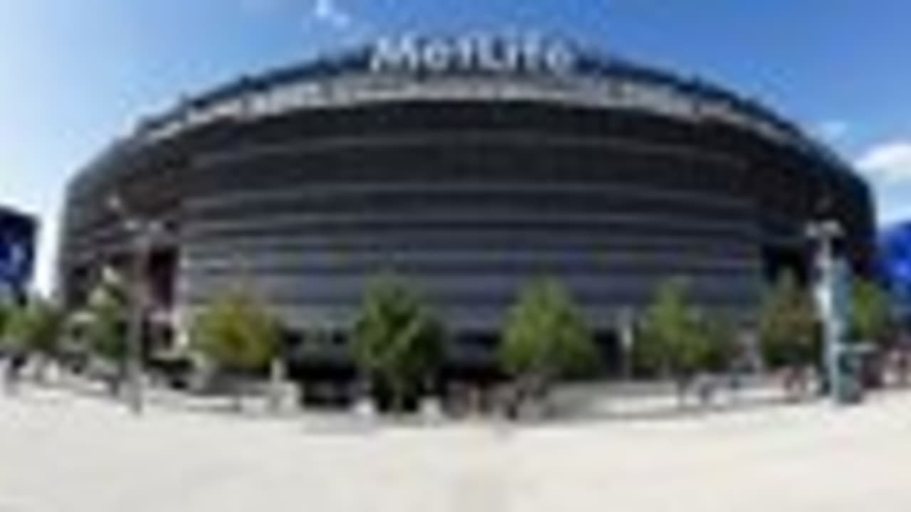 All options on the table' for new MetLife Stadium field — report