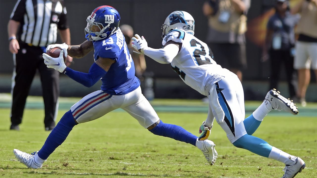 Carolina Panthers defensive end Wes Horton (96) grabs a fumble by