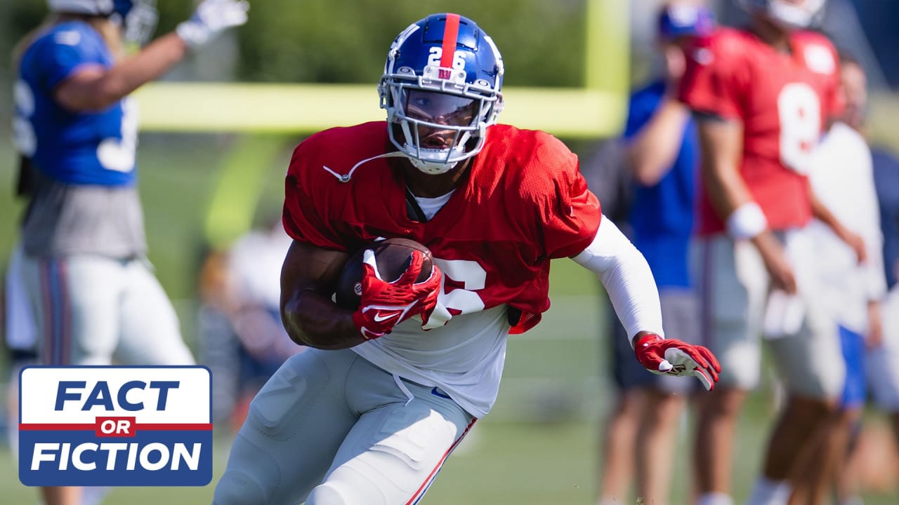 New York Giants fullback Elijhaa Penny leaks out of the backfield for a  play-action touchdown pass from Giants quarterback Mike Glennon