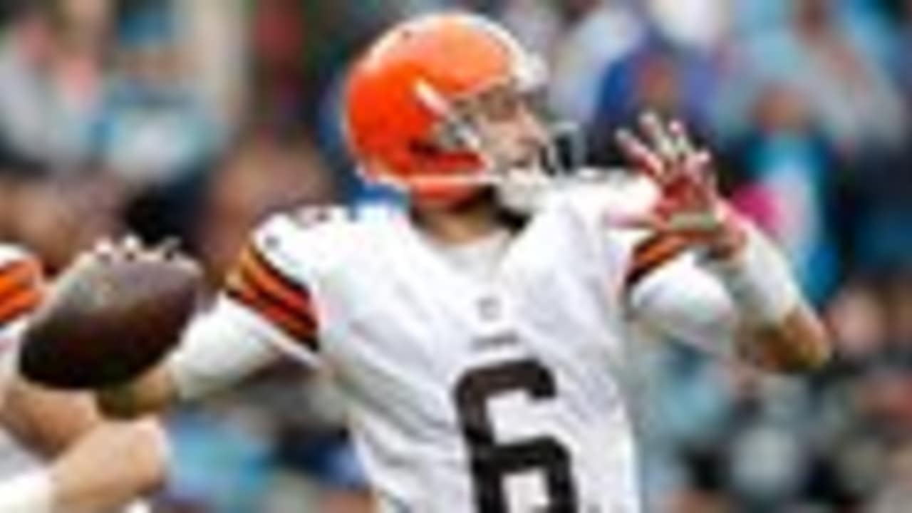 Free Agent Profile: QB Brian Hoyer