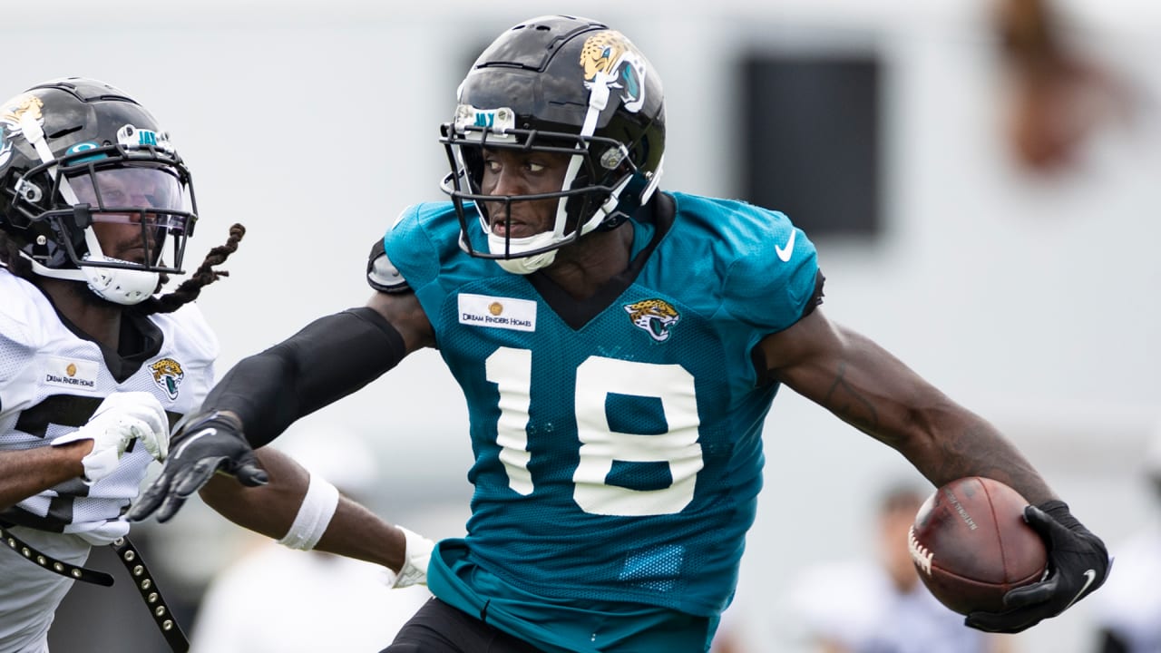 Jaguars Release WR Laquon Treadwell 