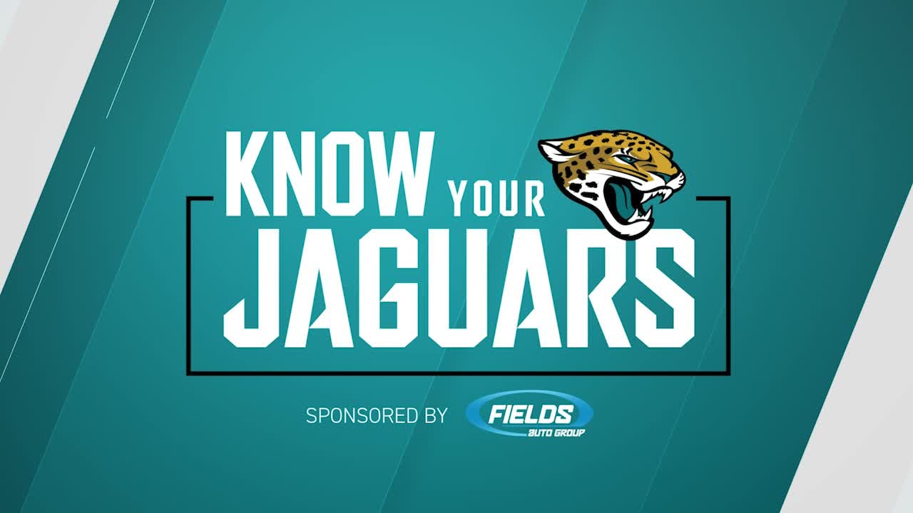 Jaguars Unveil New Logo To Celebrate Team's Historic 25th Season – Florida  National News