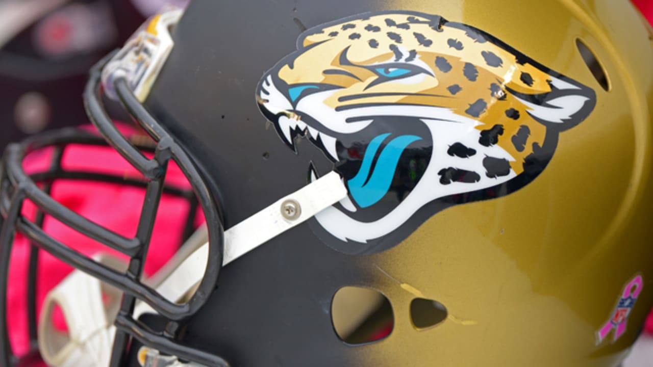 Jaguars waive 3rd kicker of camp, clear spot for McCourt - The San