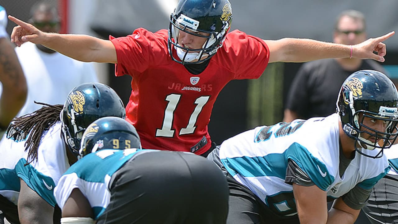 Jaguars lose QB Gabbert, receiver Laurent Robinson for season