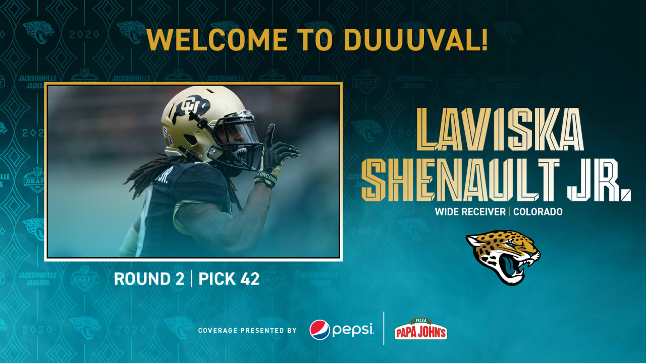 Carolina Panthers wide receiver Laviska Shenault Jr. takes