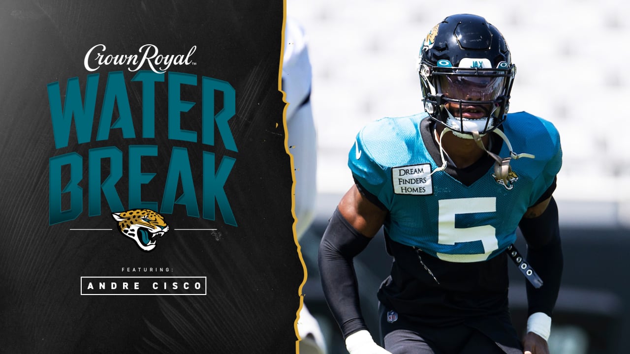 Jags sign DL Roy Robertson-Harris, RB JaMycal Hasty to extensions - Field  Level Media - Professional sports content solutions