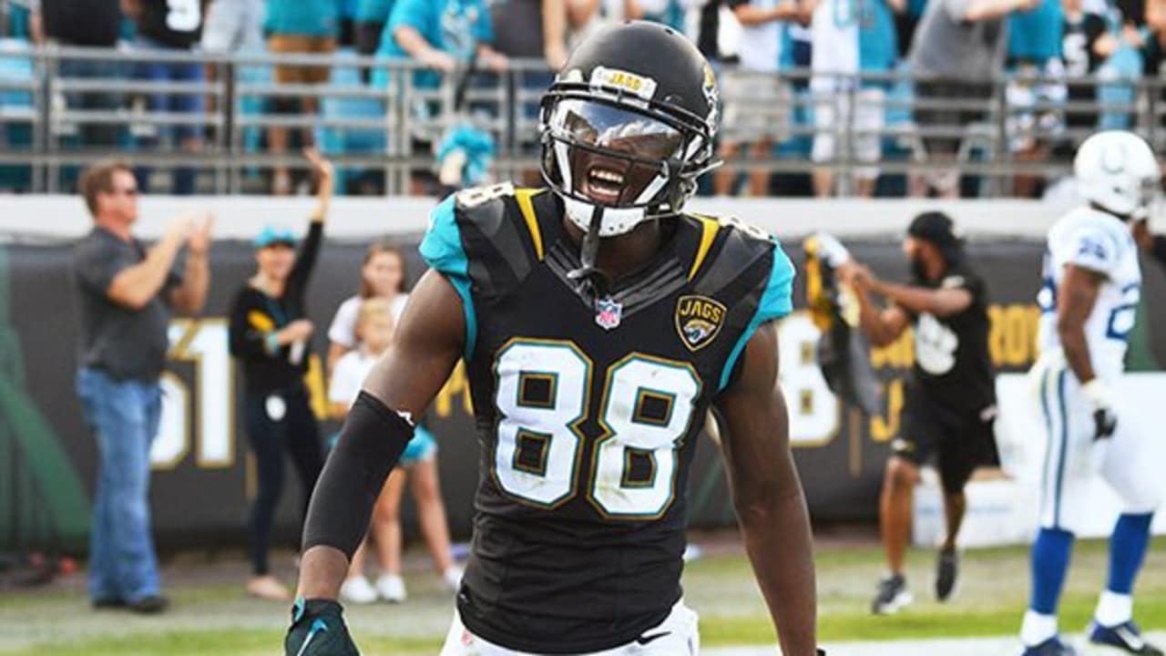 Allen Hurns puts up historic performance for Jacksonville Jaguars HD  wallpaper