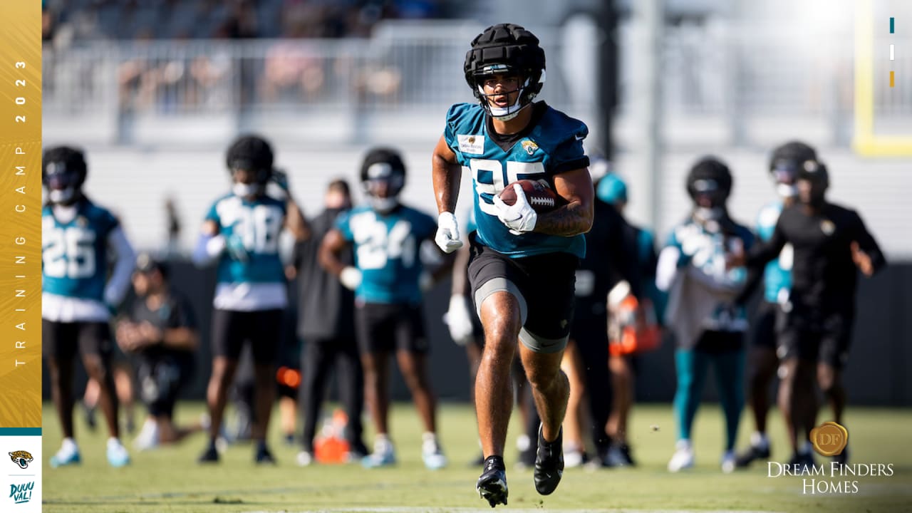 Miami Dolphins release fan attendance schedule for 2023 training camp  sessions