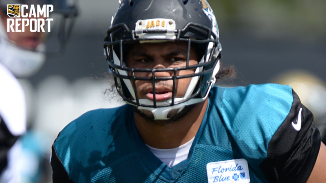 Toby Gerhart, Jonathan Cyprien among Jaguars dealing with injuries