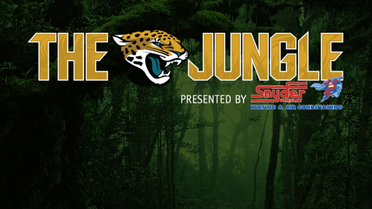 Paying for Jaguars' jungle has Jacksonville in debt