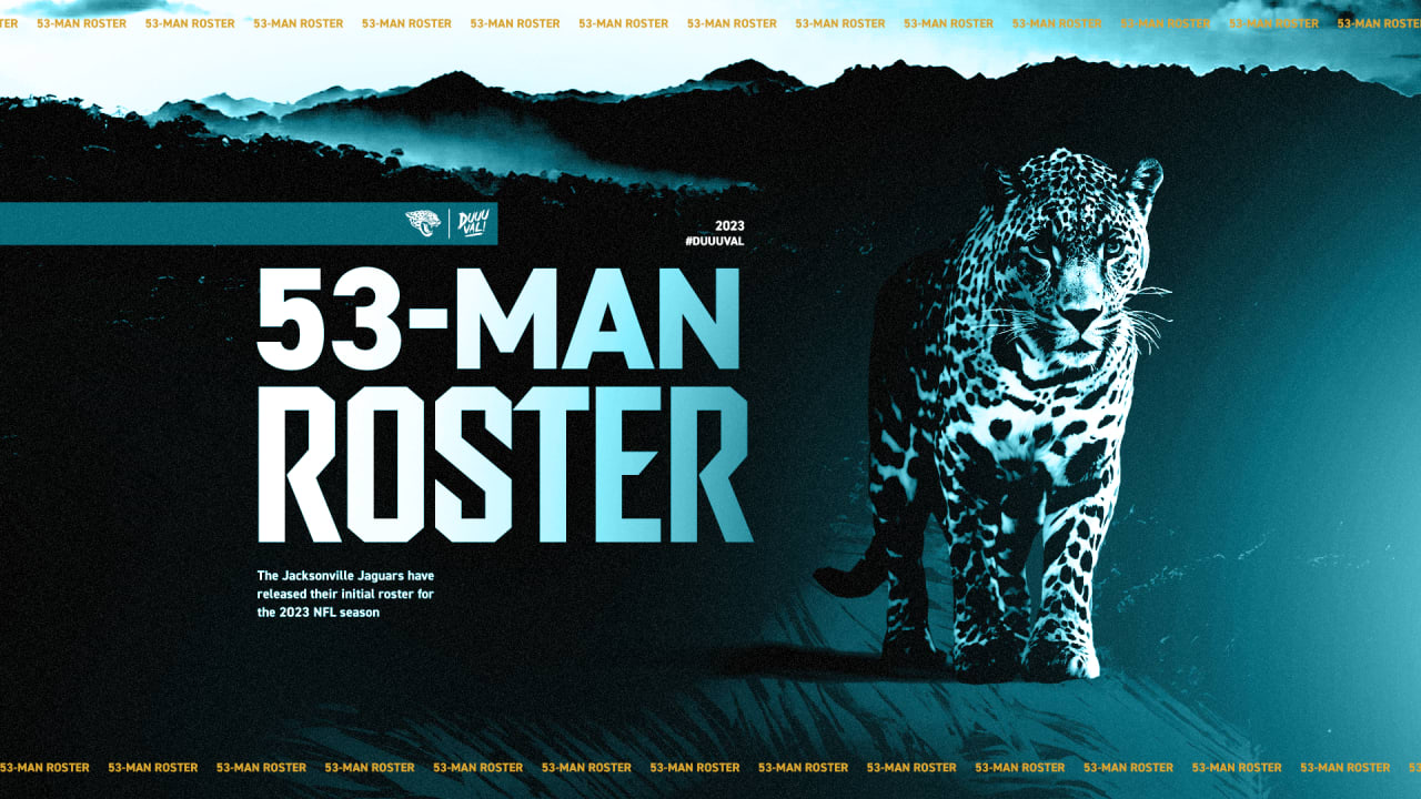 Breaking Down the Jacksonville Jaguars 53Man Roster