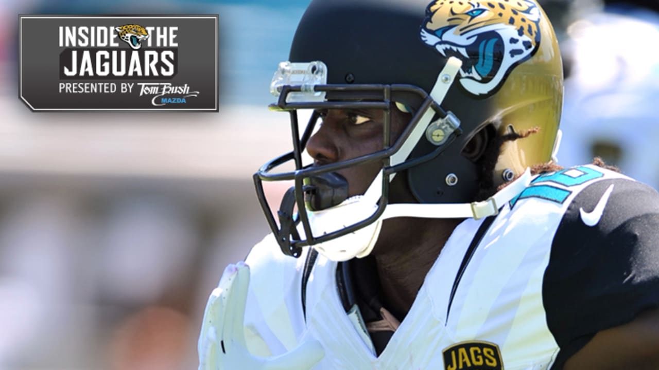 What cutting Ace Sanders means for the rest of the Jaguars 2013