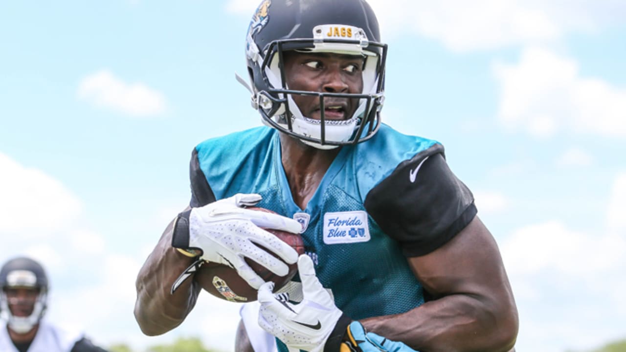 Jacksonville Jaguars tight end Neal Sterling (87) is congratulated