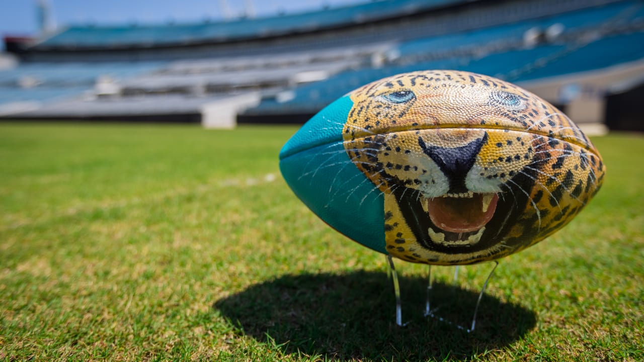 Jaguars support Cultural Council launch of "Arts +" campaign - Vimarsana News