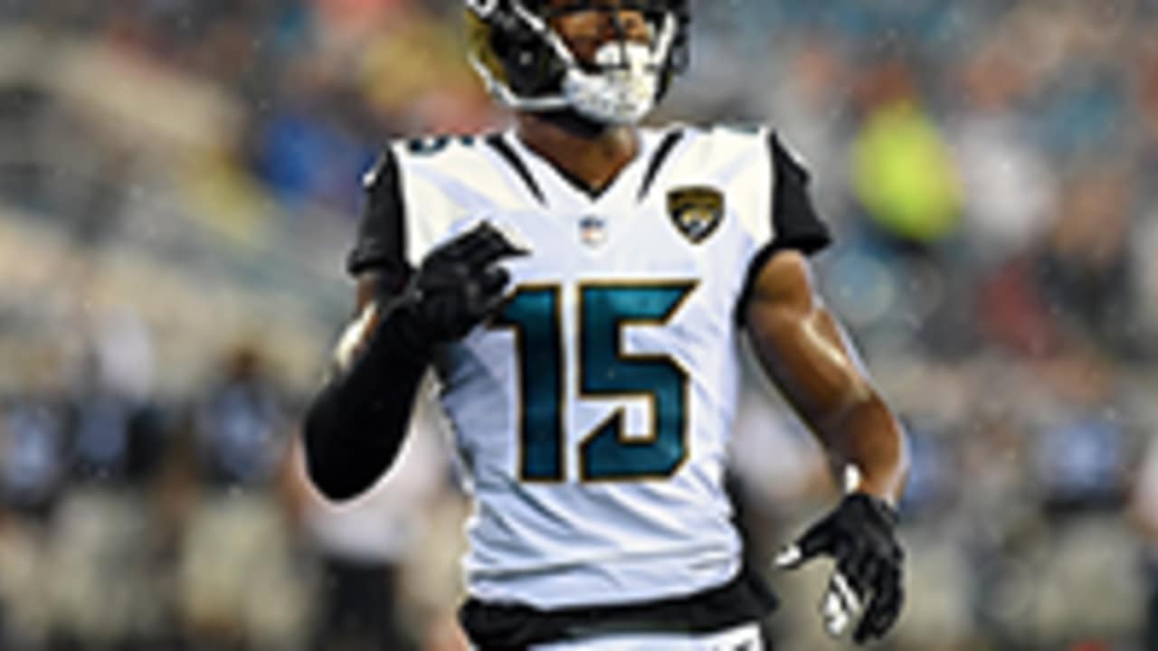 Allen Robinson not franchise tagged by Jaguars - Big Cat Country