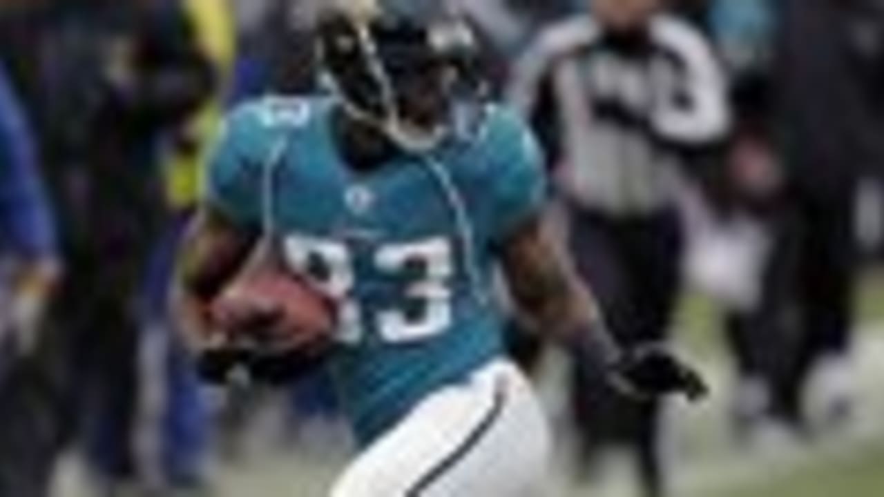 Jaguars sign wide receiver Jason Hill